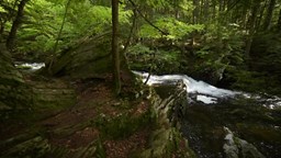 Navigate to Cablecast_TestFootageCompilation_Flex