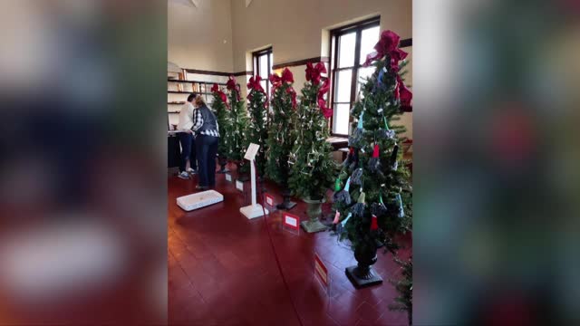 Garden Talk 6 - Behind the Scenes of Christmas in Taunton