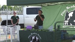 Navigate to Pine Meadow Farm Animals at Peirce Playground 6-25-24