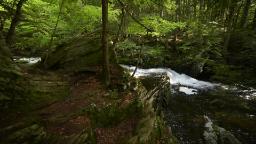 Navigate to Cablecast_TestFootageCompilation_VIO2