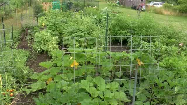 Thumbnail image for What's Cooking in Town Beef and Oyster Stew