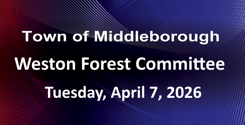 Thumbnail image for Weston Forest Commission 4-7-26