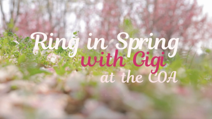 Thumbnail image for Ring in Spring with Gigi at the COA 26