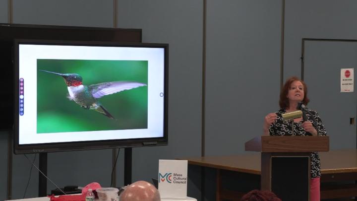 Thumbnail image for Hummingbirds With Judy Macioci at the COA
