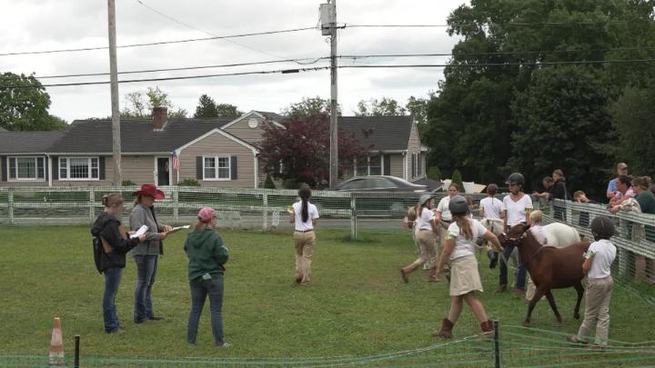Thumbnail image for Middleborough 4H Fair 2026 - Sunday Events